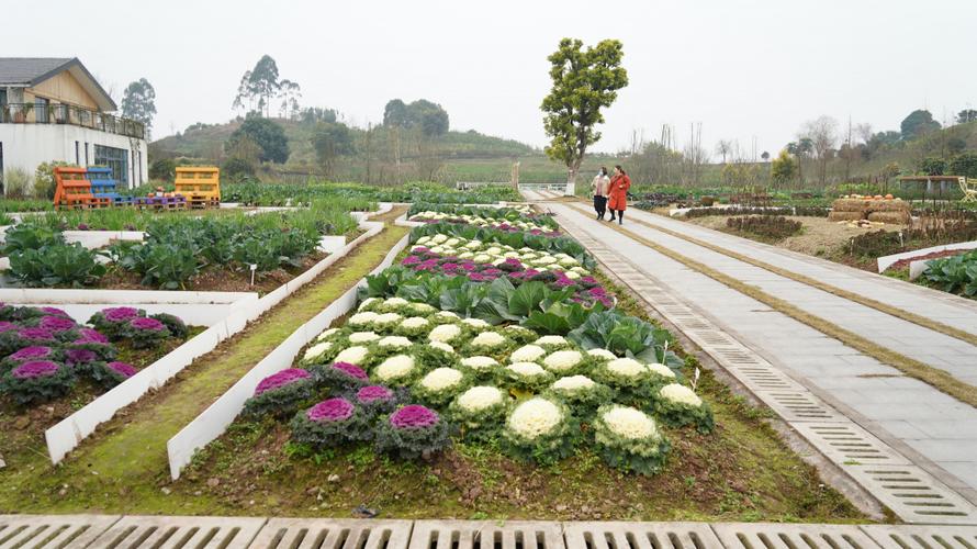 走进重庆市农科院都市农业研发中心基地体验趣味农学