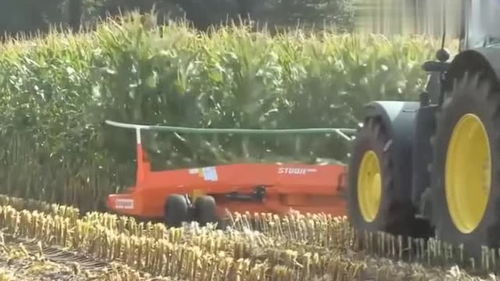玉米杆直接成粉末,现代化农业机械太厉害了